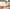 Recette de Pâte à Pizza
