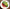 Salade de Magret de Canard